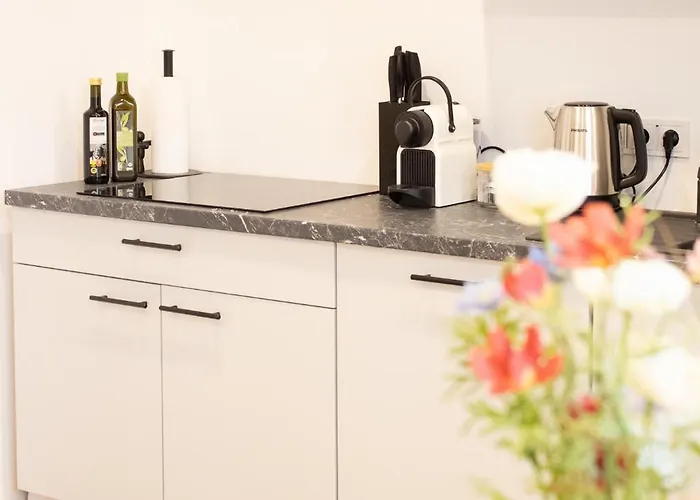 Frankfurt Hub * Fráncfort del Meno